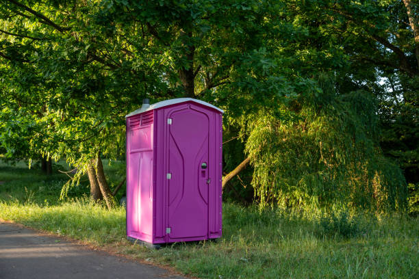 Best Portable toilet rental cost  in Stanton, MI